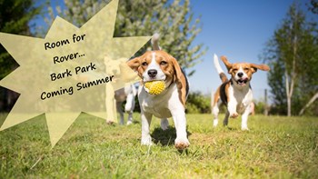 Bark Park
